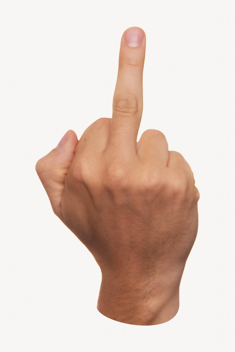 Fingi