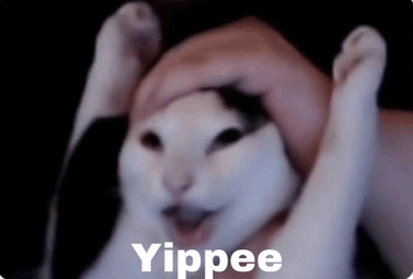 Yippee!