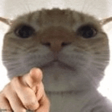 Pointing image